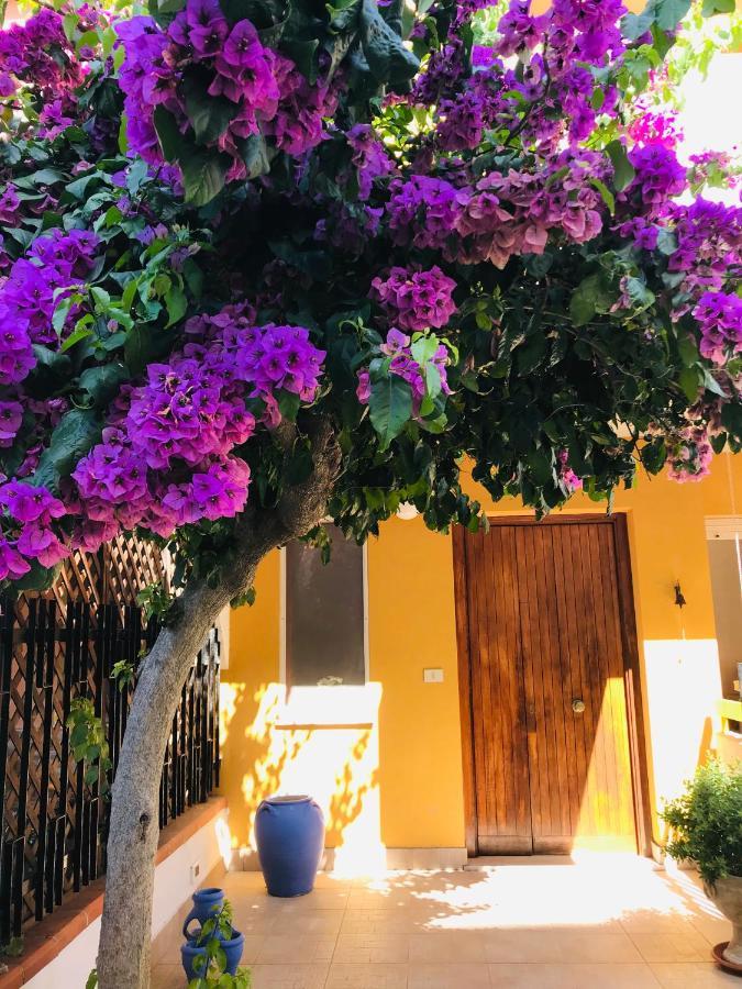 Bed and Breakfast Le Stanze Di Botticelli Termoli Exteriér fotografie